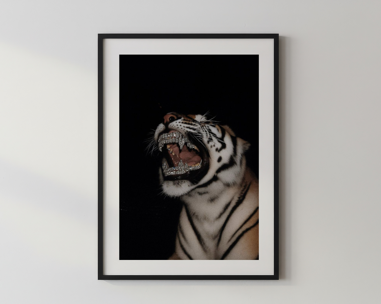 Designer x Ice Out Tiger