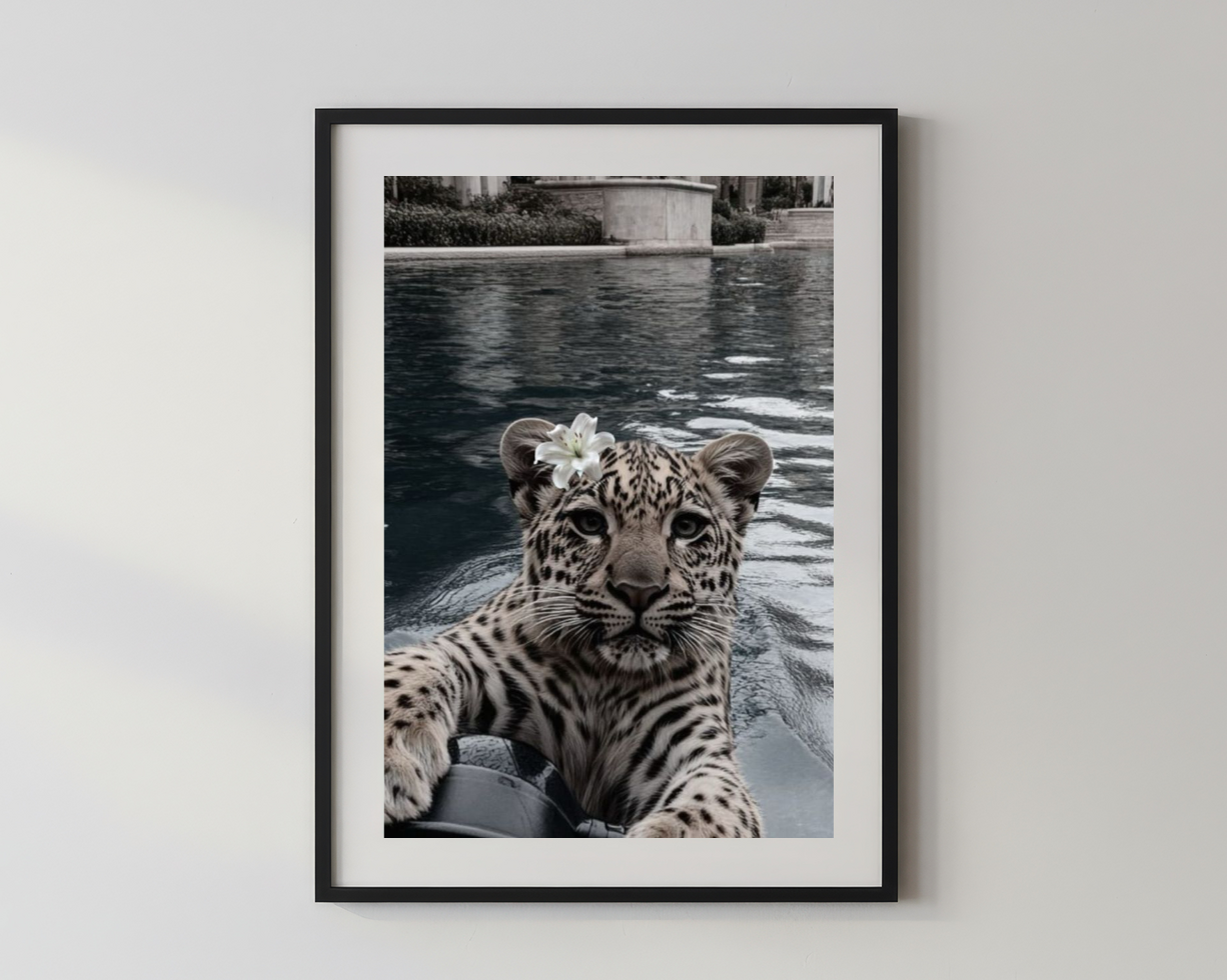 Designer x Baby Tiger