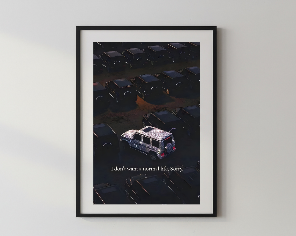 Designer x I don't want a normal life, Sorry.