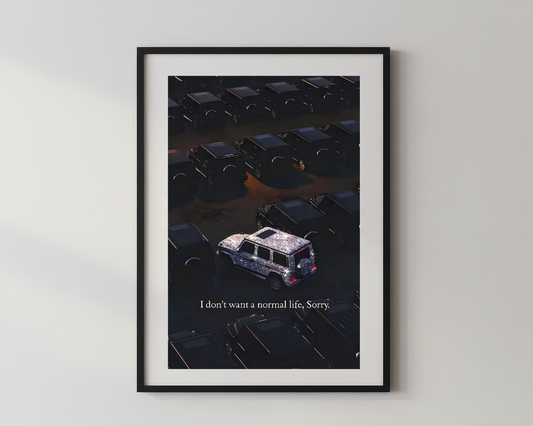 Designer x I don't want a normal life, Sorry.