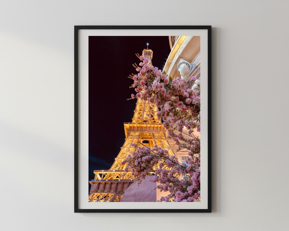 Designer x Paris Rose