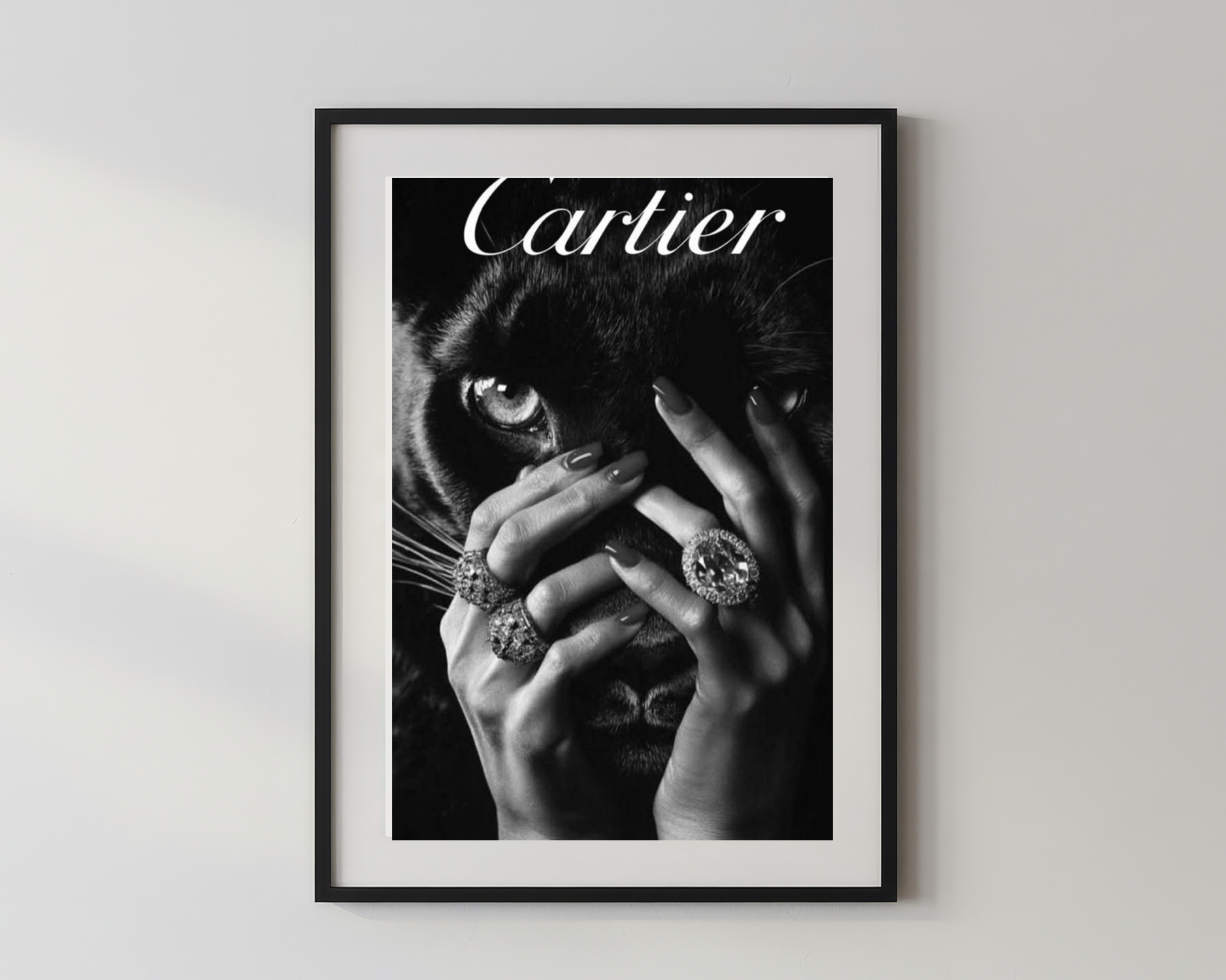Designer x Catier