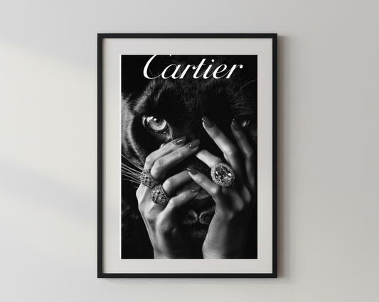Designer x Catier
