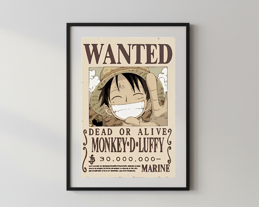 Anime x Monkey D Luffy