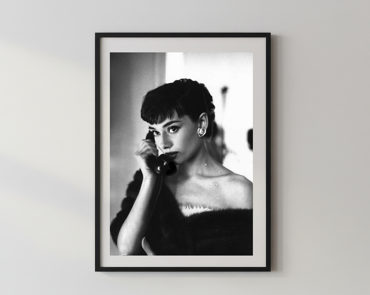 Designer x Audrey Hepburn