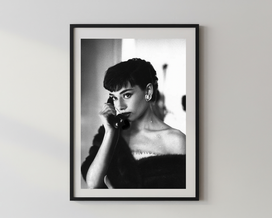 Designer x Audrey Hepburn